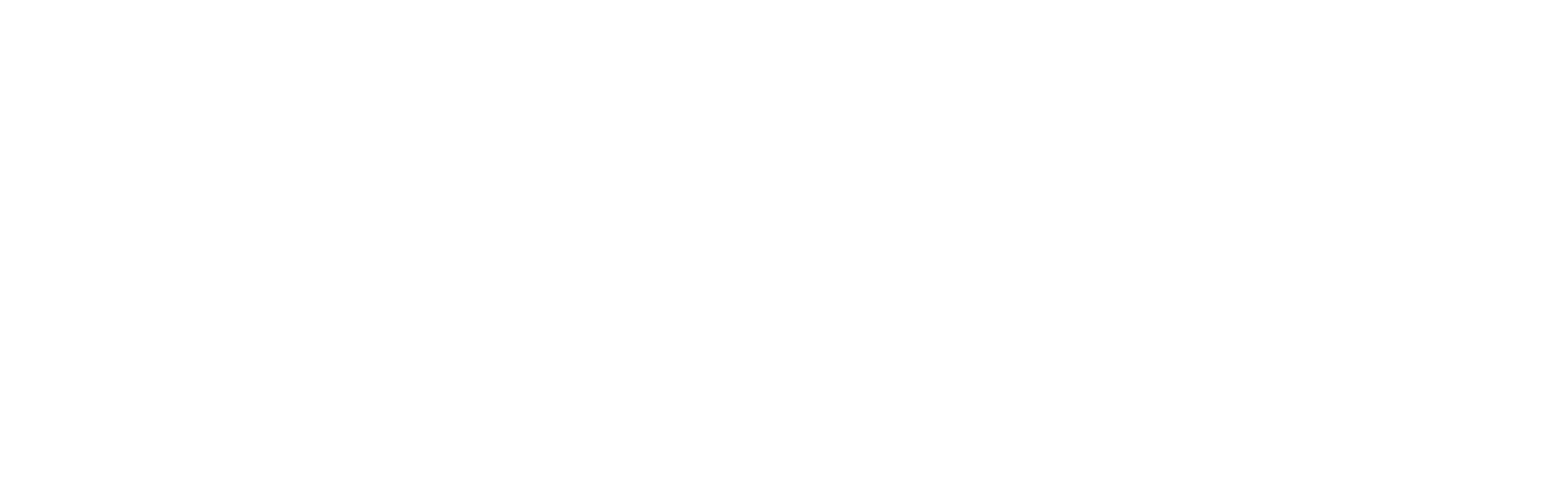 Typix
